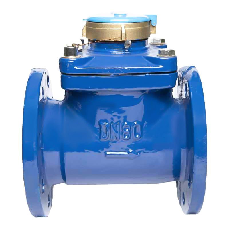 Woltman Water Meters Type  LXLC-50~200