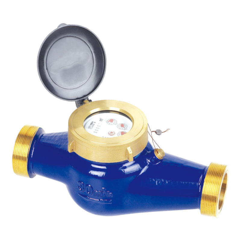 Rotary Vane Wheel Dry Dial Cold Water Meter LXSG-15E2~50E2